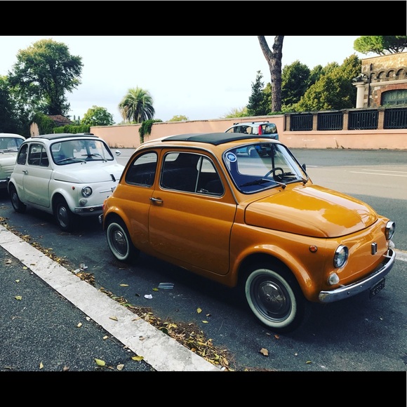 Meet your Posher, Blanca - Picture 1 of 1